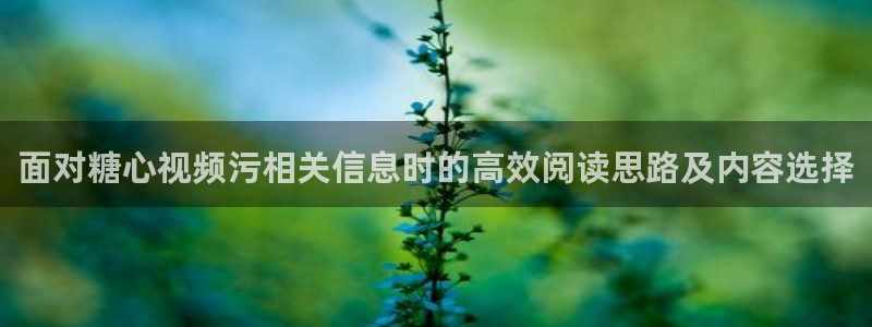 糖心vlog官网入口