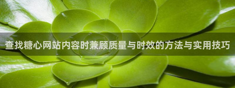 糖心传媒在线播放