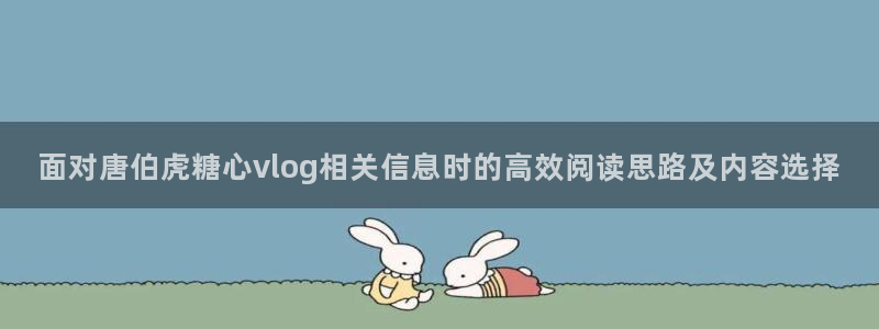 糖心vlog91