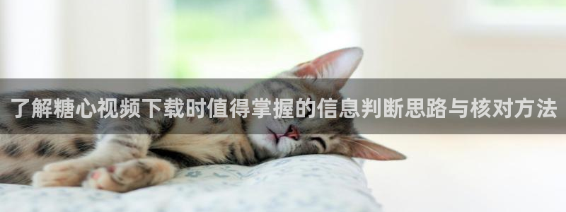 糖心vlog免费版在线观看：了解糖心视频下载时值得掌握的信息判断思路与核对方法