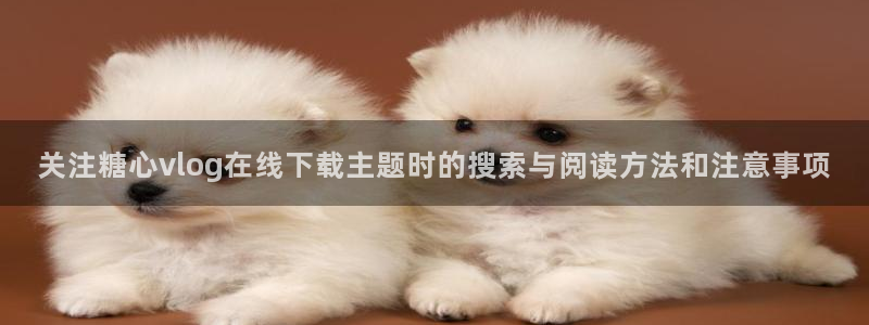 糖心视频app