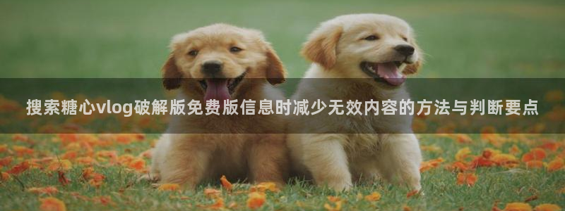 糖心网址
