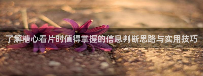 糖心vlog下载入口