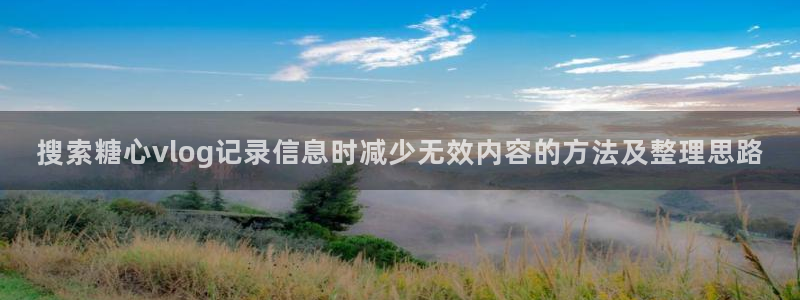 糖心免费在线观看:搜索糖心vlog记录信息时减少无效内容的方法及整理思路