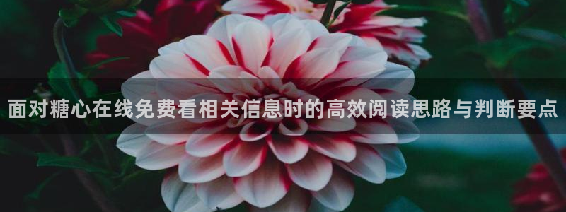 糖心vlog日常生活：面对糖心在线免费看相关信息时的高效阅读思路与判断要点