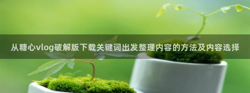 糖心vlog在线观看免费高清:从糖心vlog破解版下载关键词出发整理内容的方法及内容选择