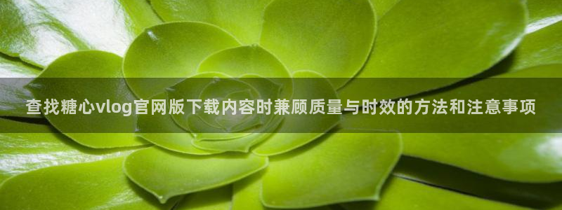 糖心vlog观看