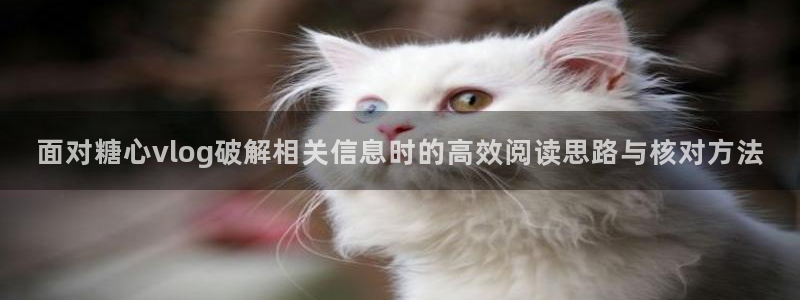 糖心vlog网页