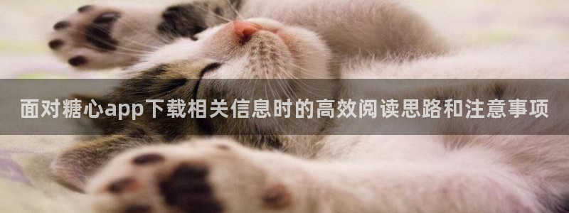 糖心vlog工作室：面对糖心app下载相关信息时的高效阅读思路和注意事项