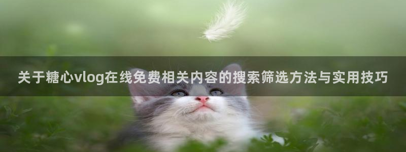 免费糖心vlog：关于糖心vlog在线免费相关内容的搜索筛选方法与实用技巧